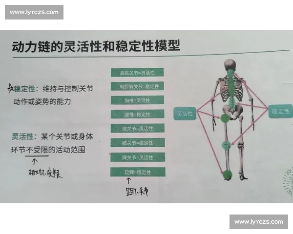 围绕提升人体运动效率的系统方法与科学训练路径探索研究