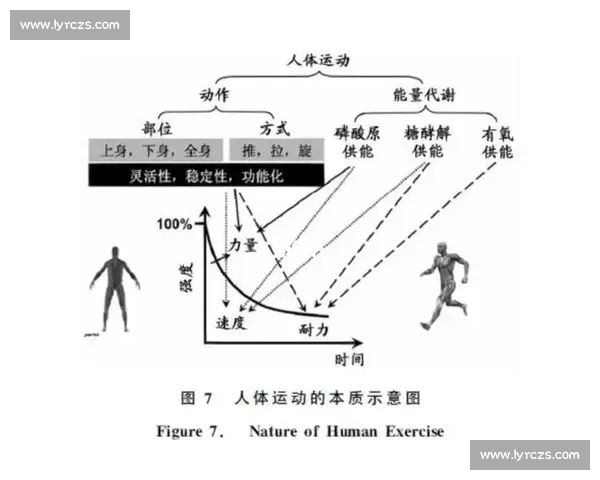 科学规划体育训练与恢复提升运动表现的实用指南 科学规划体育训练与恢复提升运动表现的实用指南